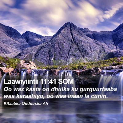 Laawiyiintii 11:41 SOM Bible Verse Image