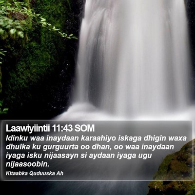 Laawiyiintii 11:43 SOM Bible Verse Image