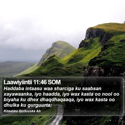 Laawiyiintii 11:46 SOM Bible Verse Image