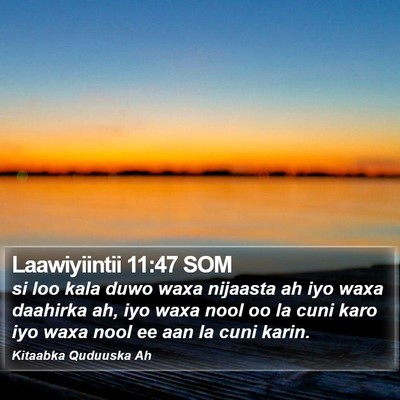 Laawiyiintii 11:47 SOM Bible Verse Image