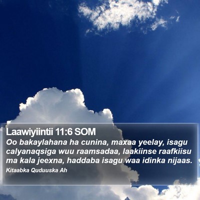 Laawiyiintii 11:6 SOM Bible Verse Image