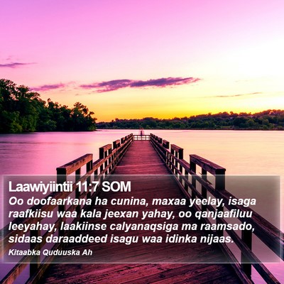 Laawiyiintii 11:7 SOM Bible Verse Image