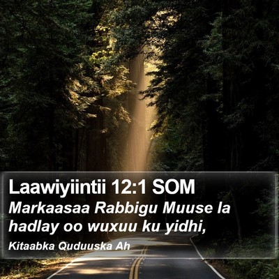 Laawiyiintii 12:1 SOM Bible Verse Image