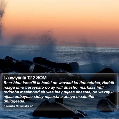 Laawiyiintii 12:2 SOM Bible Verse Image
