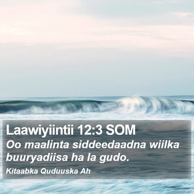 Laawiyiintii 12:3 SOM Bible Verse Image