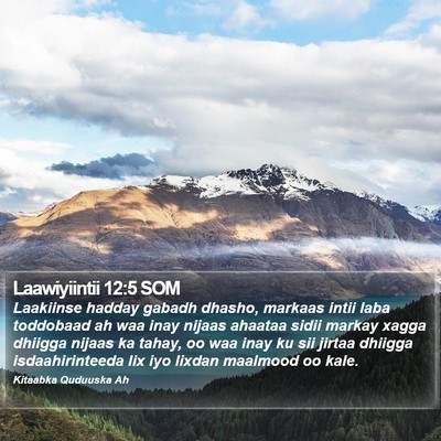 Laawiyiintii 12:5 SOM Bible Verse Image