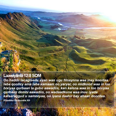Laawiyiintii 12:8 SOM Bible Verse Image
