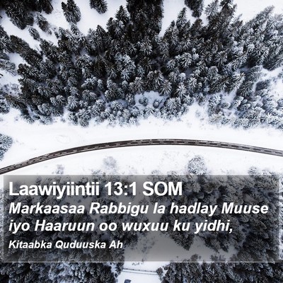 Laawiyiintii 13:1 SOM Bible Verse Image