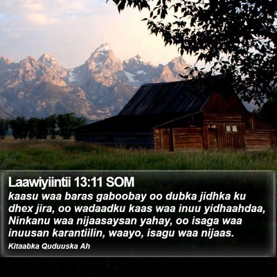 Laawiyiintii 13:11 SOM Bible Verse Image