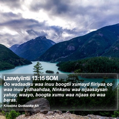 Laawiyiintii 13:15 SOM Bible Verse Image
