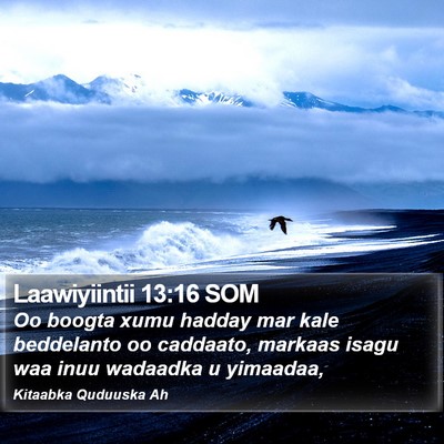 Laawiyiintii 13:16 SOM Bible Verse Image