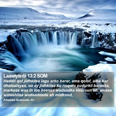 Laawiyiintii 13:2 SOM Bible Verse Image