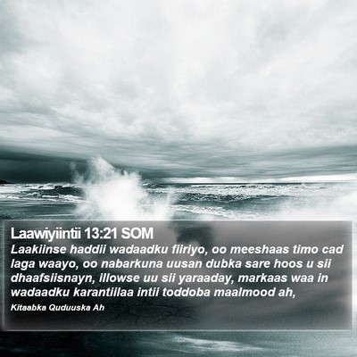 Laawiyiintii 13:21 SOM Bible Verse Image