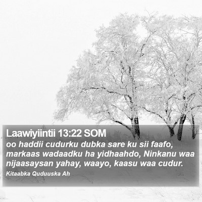 Laawiyiintii 13:22 SOM Bible Verse Image