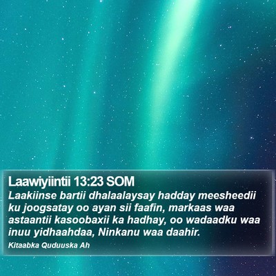Laawiyiintii 13:23 SOM Bible Verse Image