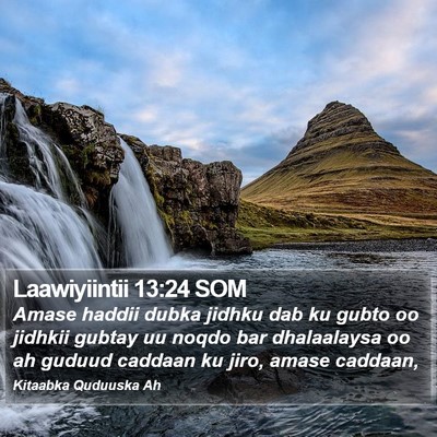 Laawiyiintii 13:24 SOM Bible Verse Image