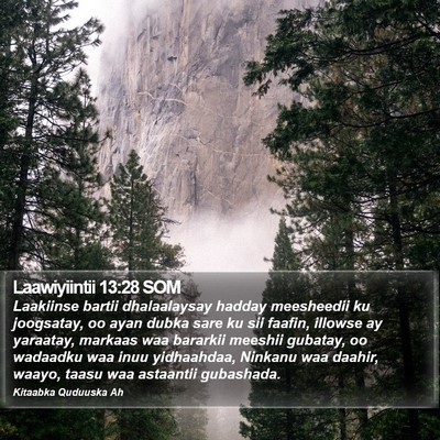 Laawiyiintii 13:28 SOM Bible Verse Image