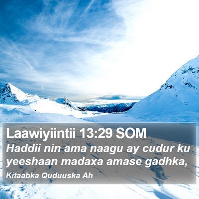 Laawiyiintii 13:29 SOM Bible Verse Image