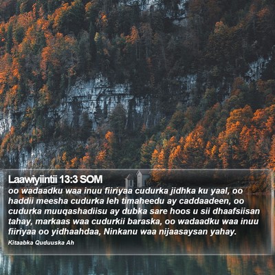 Laawiyiintii 13:3 SOM Bible Verse Image