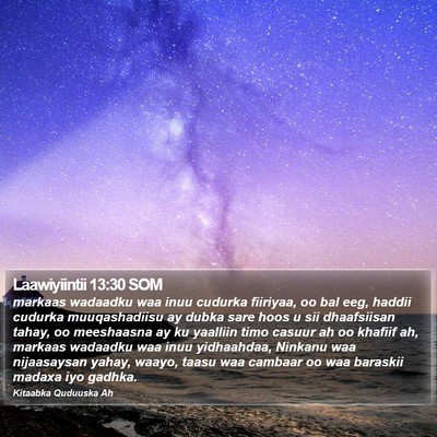 Laawiyiintii 13:30 SOM Bible Verse Image
