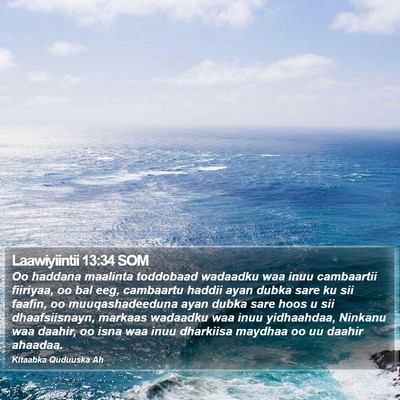 Laawiyiintii 13:34 SOM Bible Verse Image