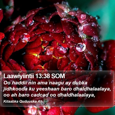 Laawiyiintii 13:38 SOM Bible Verse Image