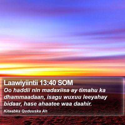 Laawiyiintii 13:40 SOM Bible Verse Image