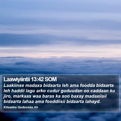 Laawiyiintii 13:42 SOM Bible Verse Image