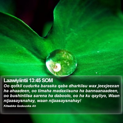 Laawiyiintii 13:45 SOM Bible Verse Image