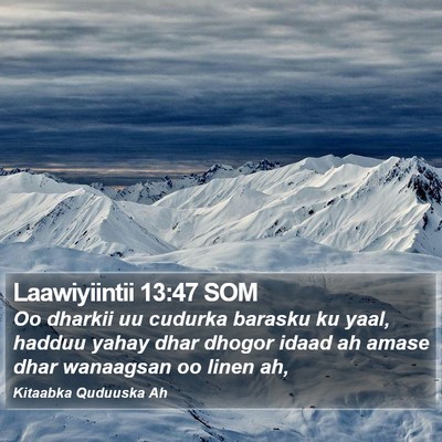 Laawiyiintii 13:47 SOM Bible Verse Image