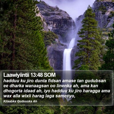 Laawiyiintii 13:48 SOM Bible Verse Image