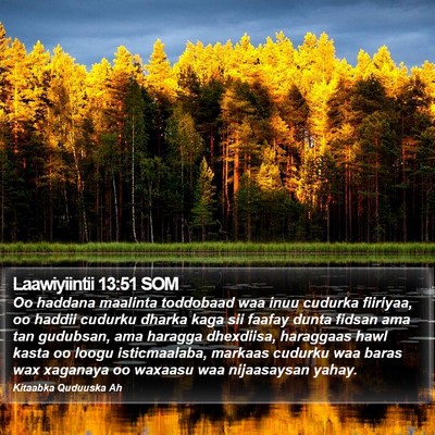 Laawiyiintii 13:51 SOM Bible Verse Image