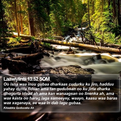 Laawiyiintii 13:52 SOM Bible Verse Image