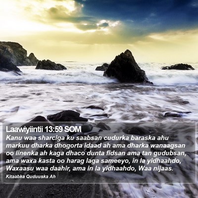 Laawiyiintii 13:59 SOM Bible Verse Image