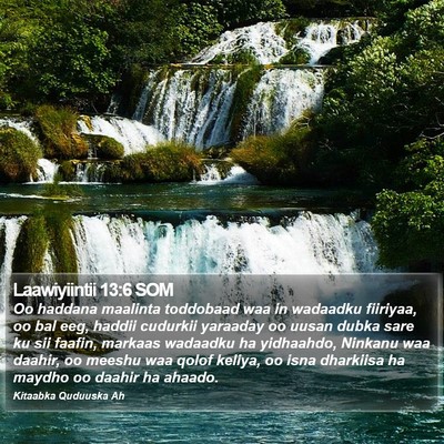Laawiyiintii 13:6 SOM Bible Verse Image