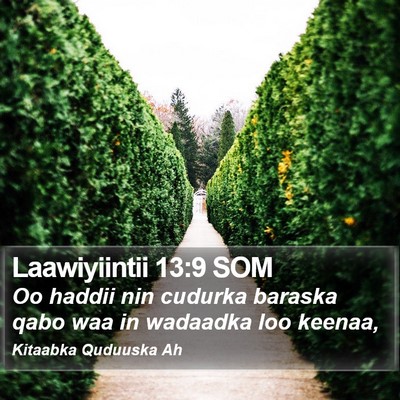 Laawiyiintii 13:9 SOM Bible Verse Image