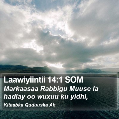Laawiyiintii 14:1 SOM Bible Verse Image