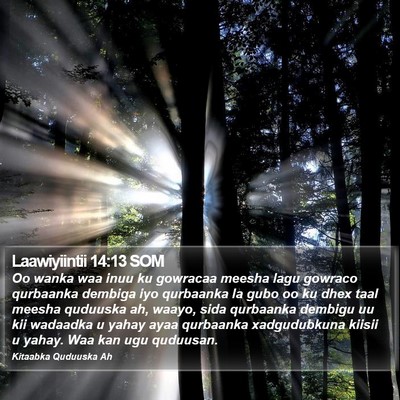 Laawiyiintii 14:13 SOM Bible Verse Image