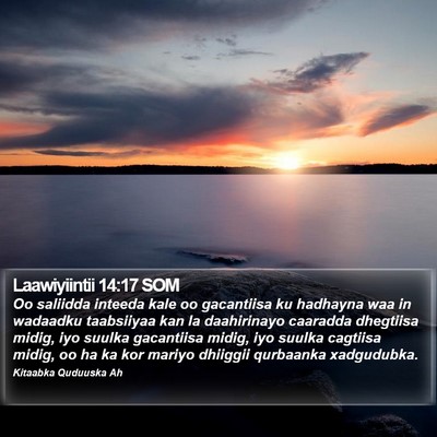 Laawiyiintii 14:17 SOM Bible Verse Image