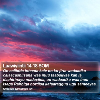 Laawiyiintii 14:18 SOM Bible Verse Image