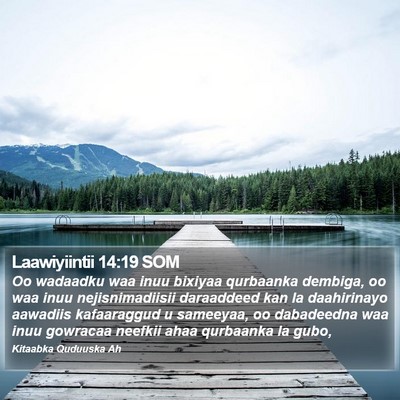 Laawiyiintii 14:19 SOM Bible Verse Image