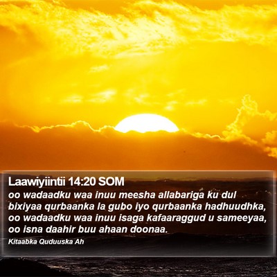 Laawiyiintii 14:20 SOM Bible Verse Image