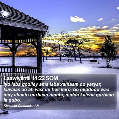 Laawiyiintii 14:22 SOM Bible Verse Image