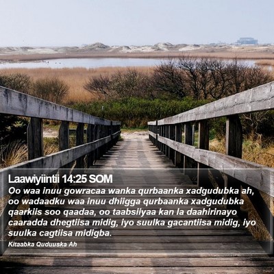 Laawiyiintii 14:25 SOM Bible Verse Image