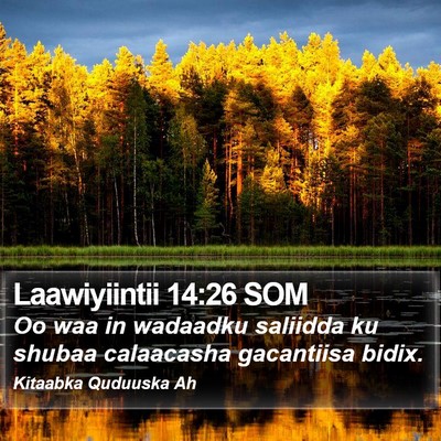 Laawiyiintii 14:26 SOM Bible Verse Image