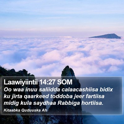 Laawiyiintii 14:27 SOM Bible Verse Image