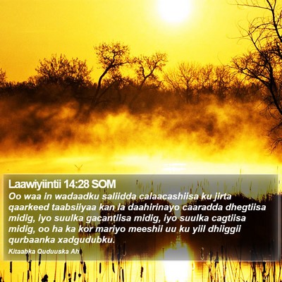 Laawiyiintii 14:28 SOM Bible Verse Image