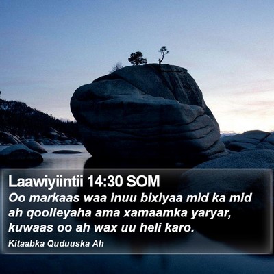 Laawiyiintii 14:30 SOM Bible Verse Image