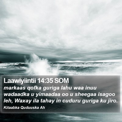 Laawiyiintii 14:35 SOM Bible Verse Image