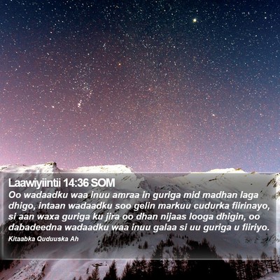 Laawiyiintii 14:36 SOM Bible Verse Image